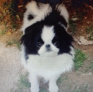 Meet your Posher, Angel